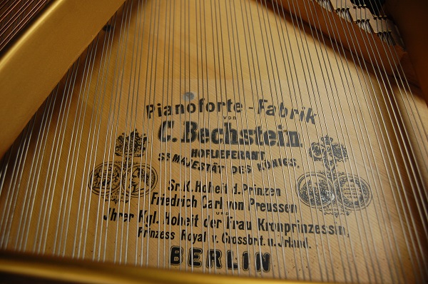 gebrauchter Flügel Foto 18