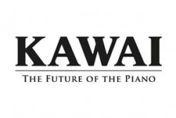 Logo Partner